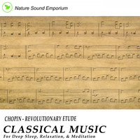 Nature Sound Emporium - Chopin - Revolutionary Etude
