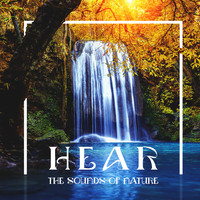Natural Healing Music Zone - Hear The Sounds Of Nature - Listen To The Symphony Of Sounds Of Nature And Relaxing Music