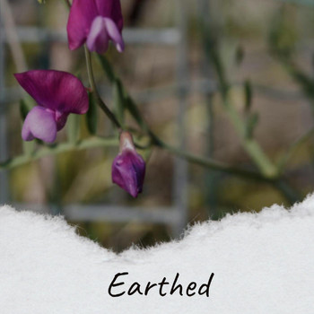 Various Artists - Earthed