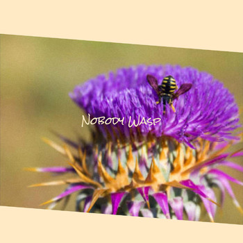 Various Artists - Nobody Wasp