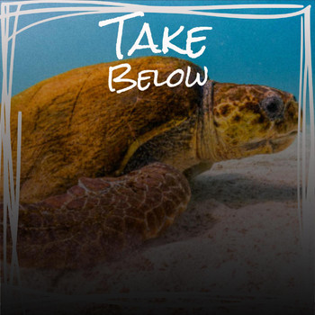 Various Artists - Take Below