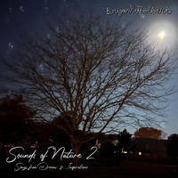 Bryan Woolbert - Sounds of Nature 2: Songs from Dreams & Inspirations