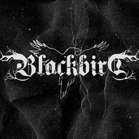 Blackbird - Onslaught