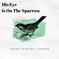 Derek Charles Johnson - His Eye Is on the Sparrow