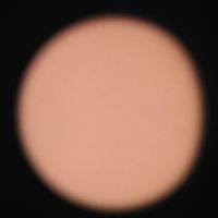 Just - Something Real