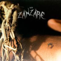 Kasto - Zanzare
