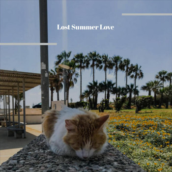 Various Artist - Lost Summer Love