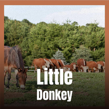 Various Artist - Little Donkey
