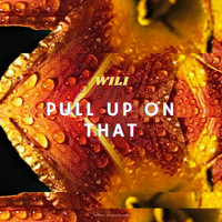 Wili - Pull up on that