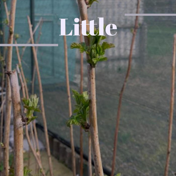 Various Artists - Little