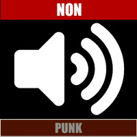 Non - Punk