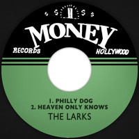 The Larks - Philly Dog