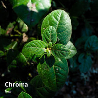 Nox - Chroma