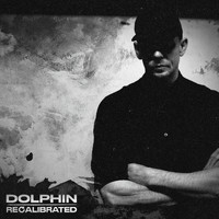 Dolphin - Recalibrated