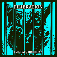 Filibration - Evil Cat