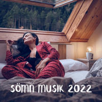 Meditationsmusik zen institute - Sömn musik 2022