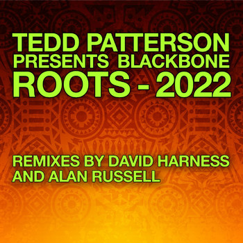 Tedd Patterson - Roots - 2022 Remixes