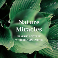 Relaxing Music Orchestra - Nature Miracles - Beautiful Nature with Relaxing Music