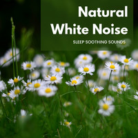 Sounds of Nature White Noise Sound Effects - Natural White Noise - Sleep Soothing Sounds