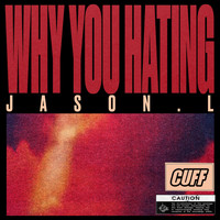 Jason.L - Why You Hating