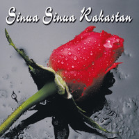 Eri Esittäjiä - Sinua sinua rakastan