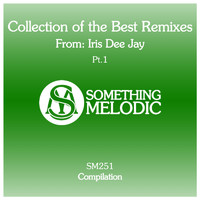 Various Artists - Collection of the Best Remixes From: Iris Dee Jay, Pt. 1
