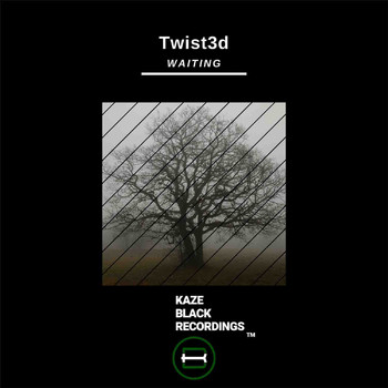 TWIST3D - Waiting