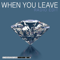 Schwarz & Funk feat. Ann Francis - When You Leave (Radio Edit)
