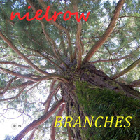 nielrow - Branches
