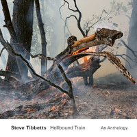 Steve Tibbetts - Black Mountain Side (2022 Remaster)