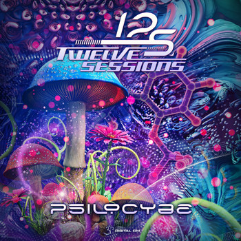 Twelve Sessions - Psilocybe