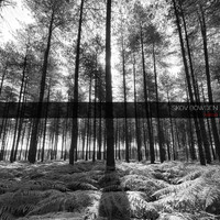 Skov Bowden - Hatred