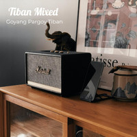 DJ DFX - Goyang Pargoy Tiban