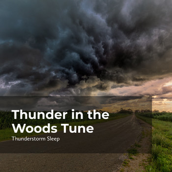 Thunder Storms & Rain Sounds, Thunderstorm, Thunderstorm Sleep - Thunder in the Woods Tune
