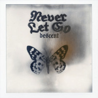 Descent - Never Let Go