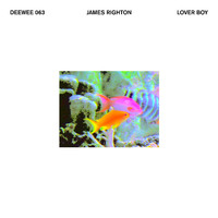 James Righton - Lover Boy