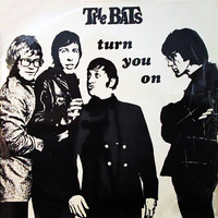The Bats - Turn You On