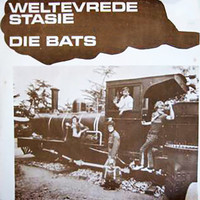 The Bats - Weltevrede Stasie