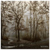 Frozen Silence - Woods