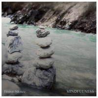 Frozen Silence - Mindfulness