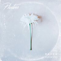 PHNTMS - Paper Flowers