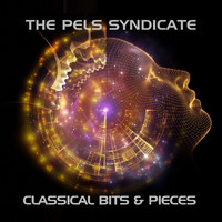 The Pels Syndicate - Classical Bits & Pieces