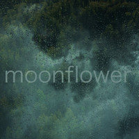 Moonflower - Autumn Rain
