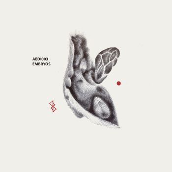 Various Artists - Embryos