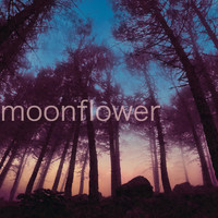Moonflower - Lost In Time