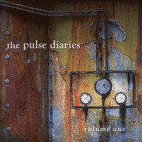 The Pulse Diaries - The Pulse Diaries, Vol. 1