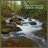 Water Sounds - Water Sounds: Forest River