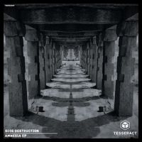 Bios Destruction - Amnesia EP