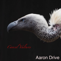 Aaron Drive - Cancel Vultures