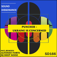Puncher - Ukraine Is Concerned